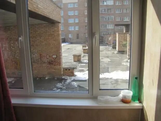 Вид из окна на первом этаже. Окна в квартире на первом этаже. Французские окна на балкон. Окна снизу вверх. Рулонные шторы снизу снизу вверх.