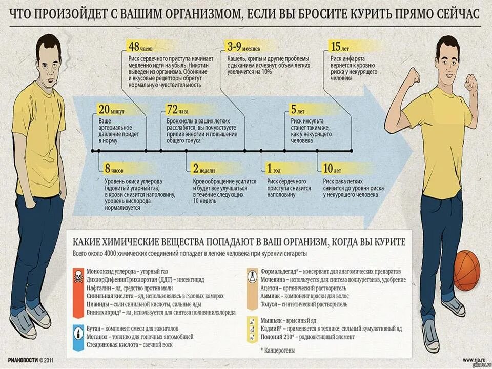 Через сколько лет человеку