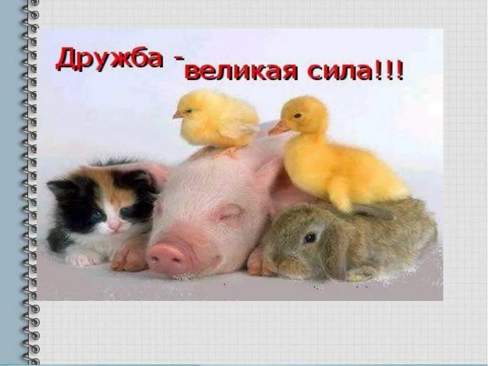 дружба великих