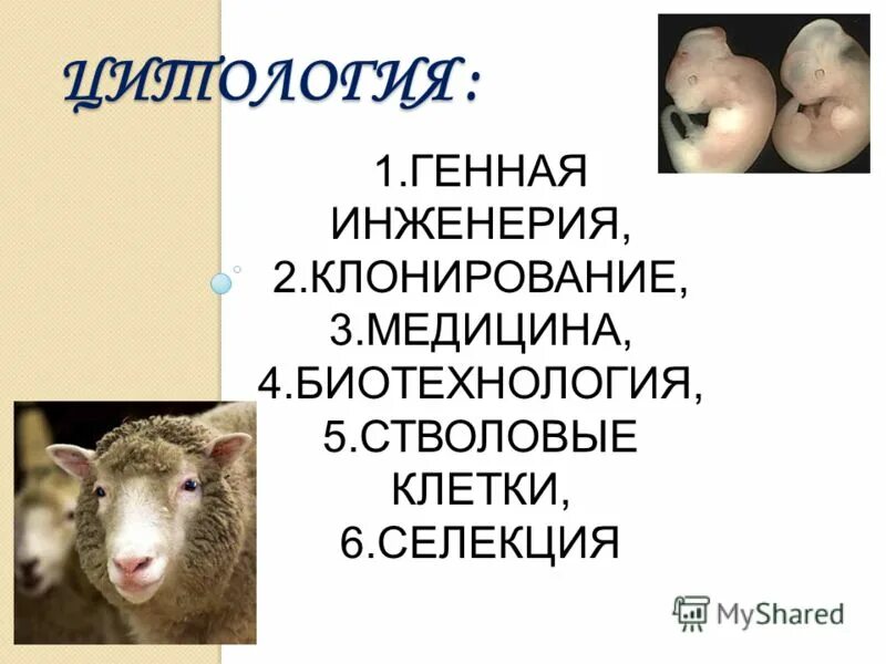 Генная инженерия. Клонирование в генной инженерии. Клонирование в молекулярной биологии. Клонирование. Генная инженерия клонирование кратко.