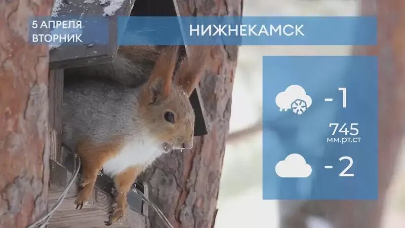 27 июля. Погода в нижнекамске на 14. Погода в нижнекамске на месяц июль 2024. 27 июля. 27 июля.