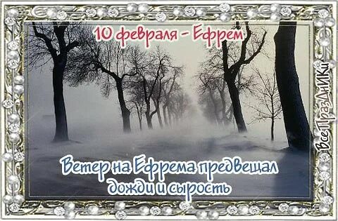 10 февраля 24 год