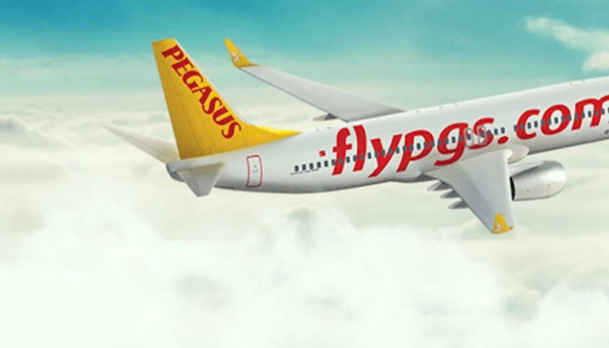 Pegasus airlines зарегистрироваться. Pegasus airlines зарегистрироваться