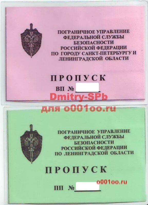 Пропуск в аэропорт. Пропуск Федеральная служба безопасности. Пропуск на автомобиль бланк.