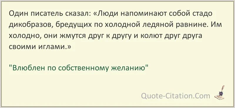 Цитаты из влюблен по собственному желанию. Влюблен по собственному желанию цитаты.