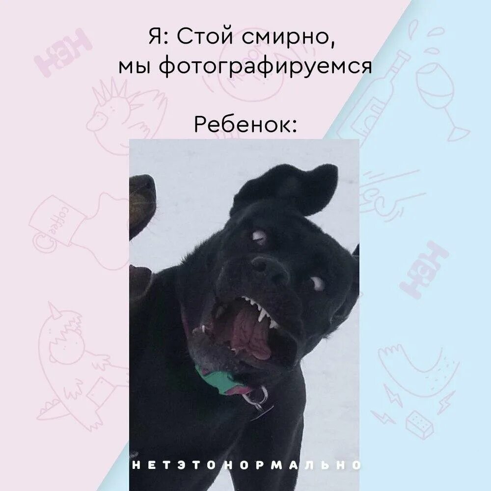 Стой можно я с тобой mp3. Нэн мемы о родительстве. Нэн это нормально мемы. Нет это нормально мемы о родительстве. Лучшие мемы Нэн.