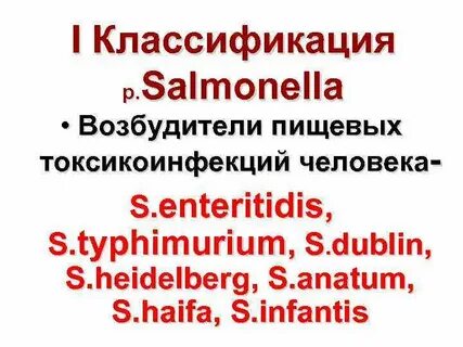 Сальмонеллы возбудители пищевых токсикоинфекций