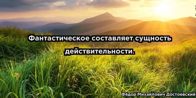 Родившиеся глупыми. Так много в этой тишине изречения. Красивое высказывание про единственную.