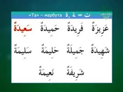 Арабские язык видео уроки