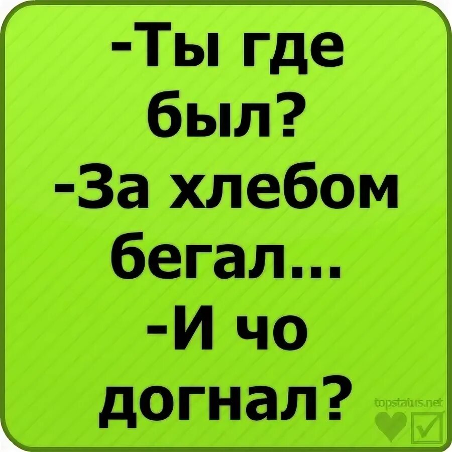 Какой статус поставить девушке. Весёлые статусы в вк. прикольные статусы в вк. крутые смешные статусы. смешные статусы в вк.