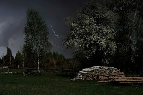 Лесная гроза