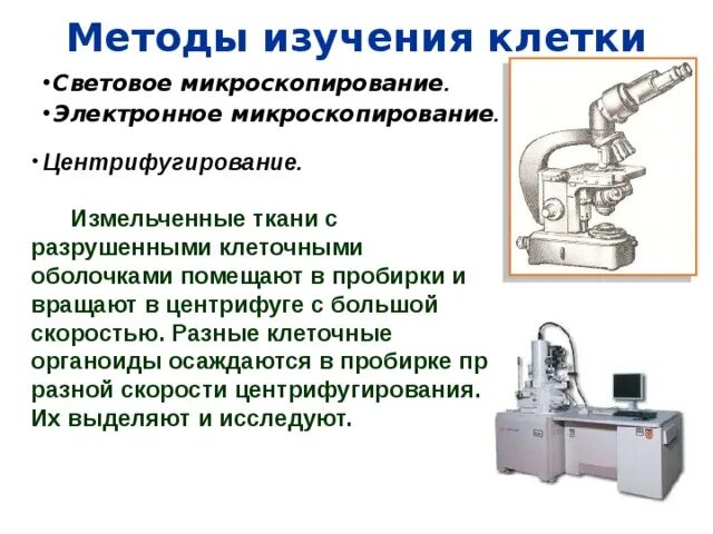 Методы изучения клеток биология 10 класс. Методы изучения клетки таблица биология 10. Способы изучения клетки. Методы исследования клетки в биологии. Какие методы исследования представлены на рисунках