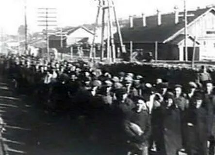Репрессии 1953 года