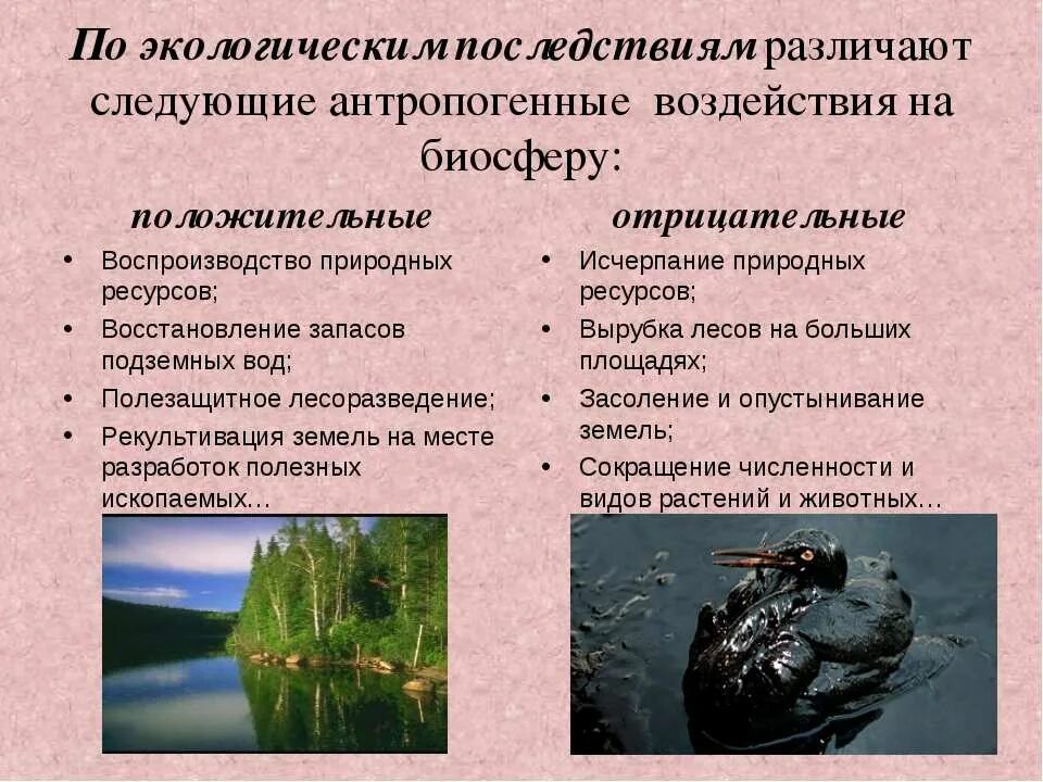 Приведите примеры природного воздействия на окружающую среду. Положительное и отрицательное влияние человека на биосферу. Положительные антропогенные воздействия на окружающую среду. Отрицательное влияние человека на биосферу. Положительное воздействие деятельности человека на биосферу.