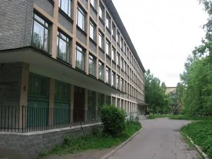 Сайт лицея 273 металлострой
