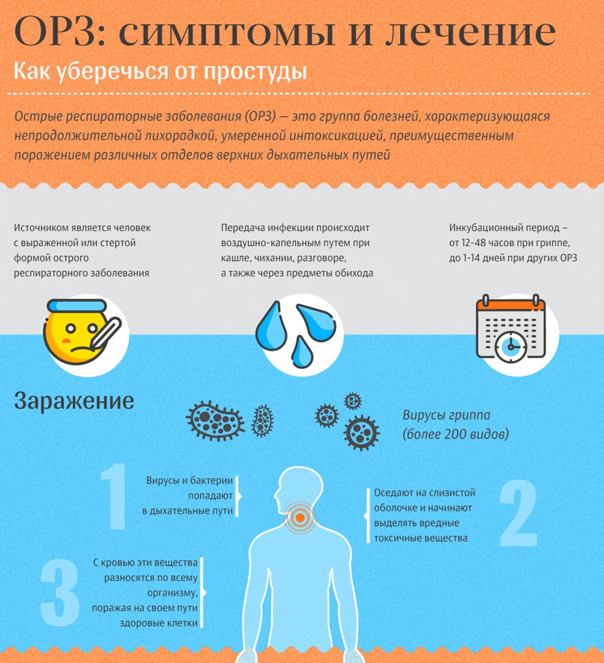 Вирусная инфекция симптомы. ОРЗ симптомы. Признаки ОРЗ. Острые респираторные заболевания (ОРЗ). Симптомы респираторных заболеваний.