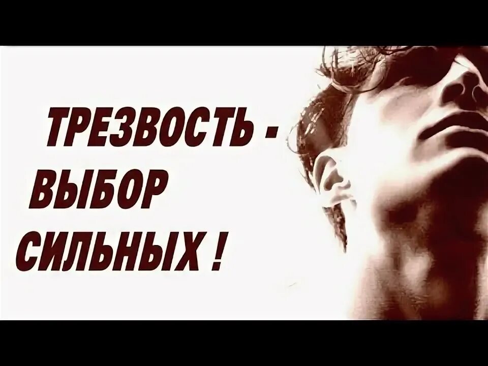 сильный выбор. сильный выбор. здоровый образ жизни трезвость выбор сильных. трезвость выбор сильных. трезвость выбор сильных плакат.