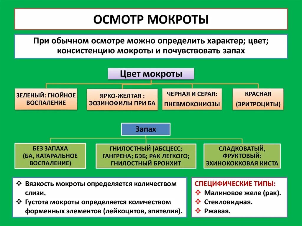 Таблица мокроты. Определение характера мокроты. Характеристика мокроты.