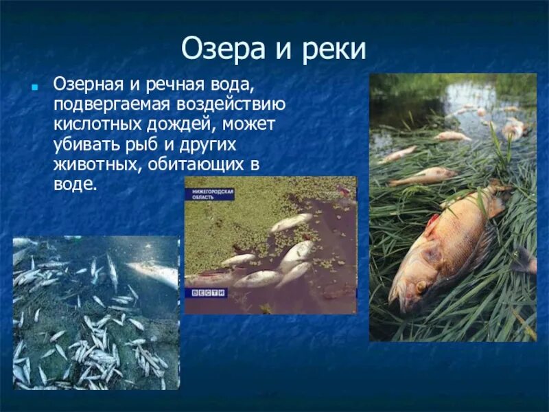 Может ли дождь быть вредным