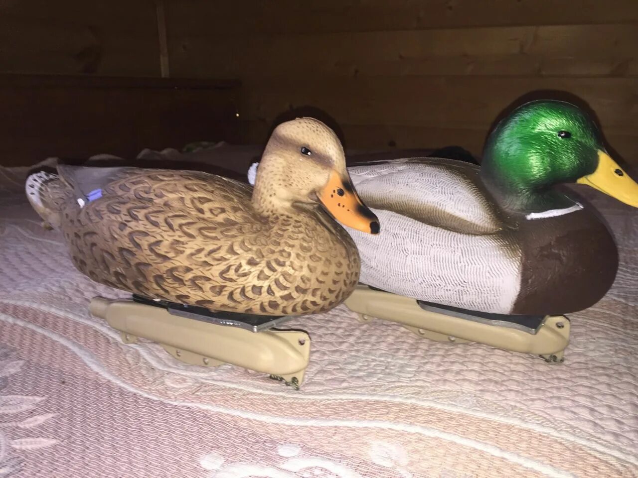 Два чучела. Гуйя птица. Кряква гринхед. Два чучела. Утка sk6.