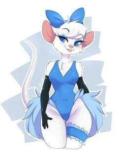 Miss kitty