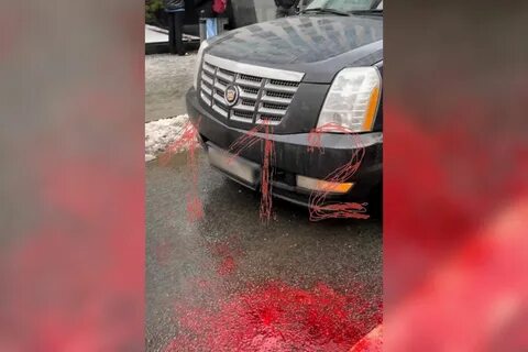 Чем стреляли в трампа