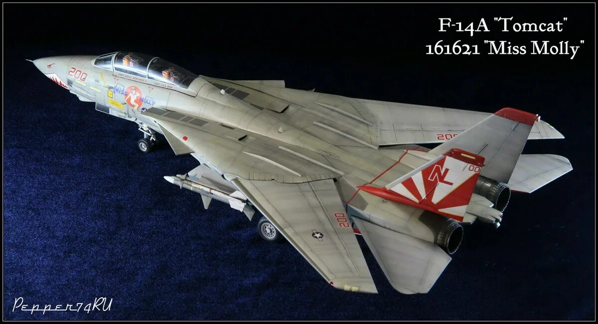 Hasegawa 1/48 самолёт f-14a Tomcat. F 14 Tomcat 1/48 Italeri. F-14 1/48. F-14 Tomcat (1/48, Hasegawa).