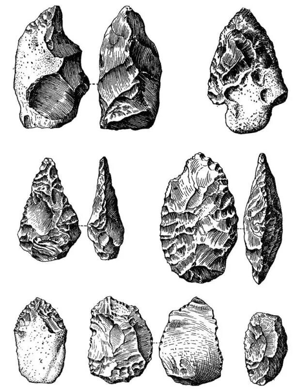 Каменное рубило. Синантроп орудия труда. Орудия питекантропов. Каменные орудия палеолита. Орудия труда австралопитеков.