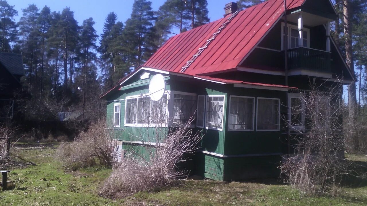 Вырица нет света. Вырица 2008. Вырица нет света. Проспект урицкого 76 вырица. Дача басилашвили в вырице.