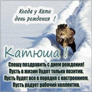 Поздравления с днем кати прикольные