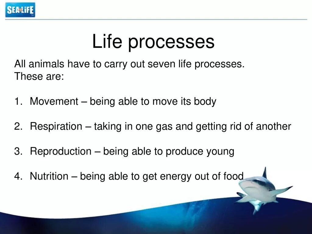 Seven Life process. Processes of Life. All Life processes. Carry out. Life processes