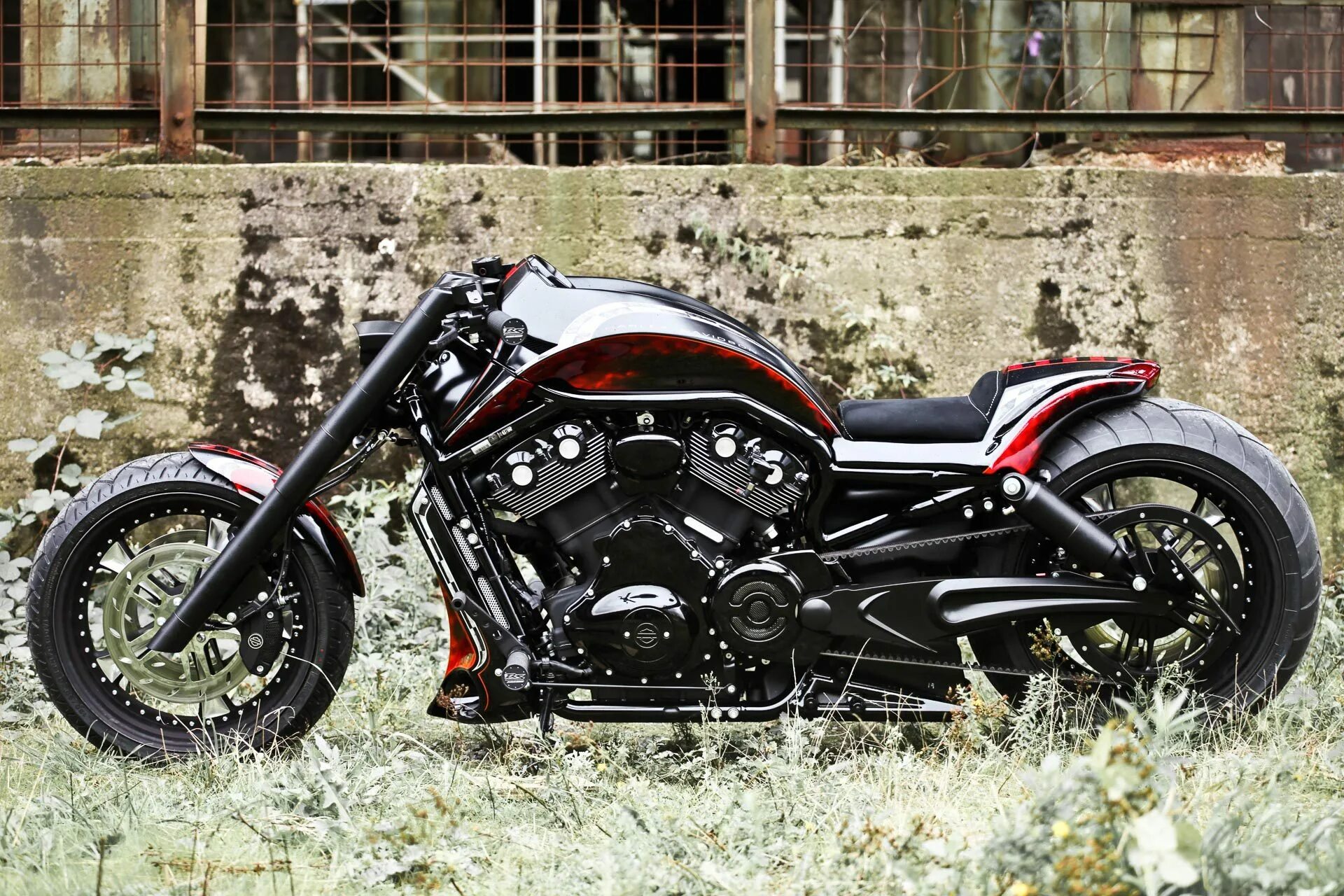 Harley Davidson box39. V Rod Custom box39. Бокс 39 мотоциклы. Box39 мотоциклы купить