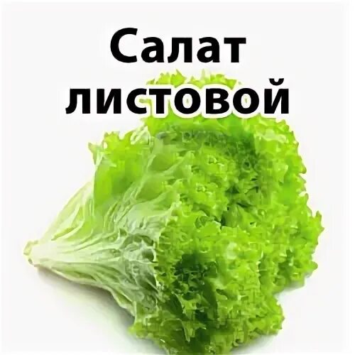 Сколько весит лист салата. Салат листовой весовой. салат листовой 1 кг. салат листовой масса. салат листовой вес.