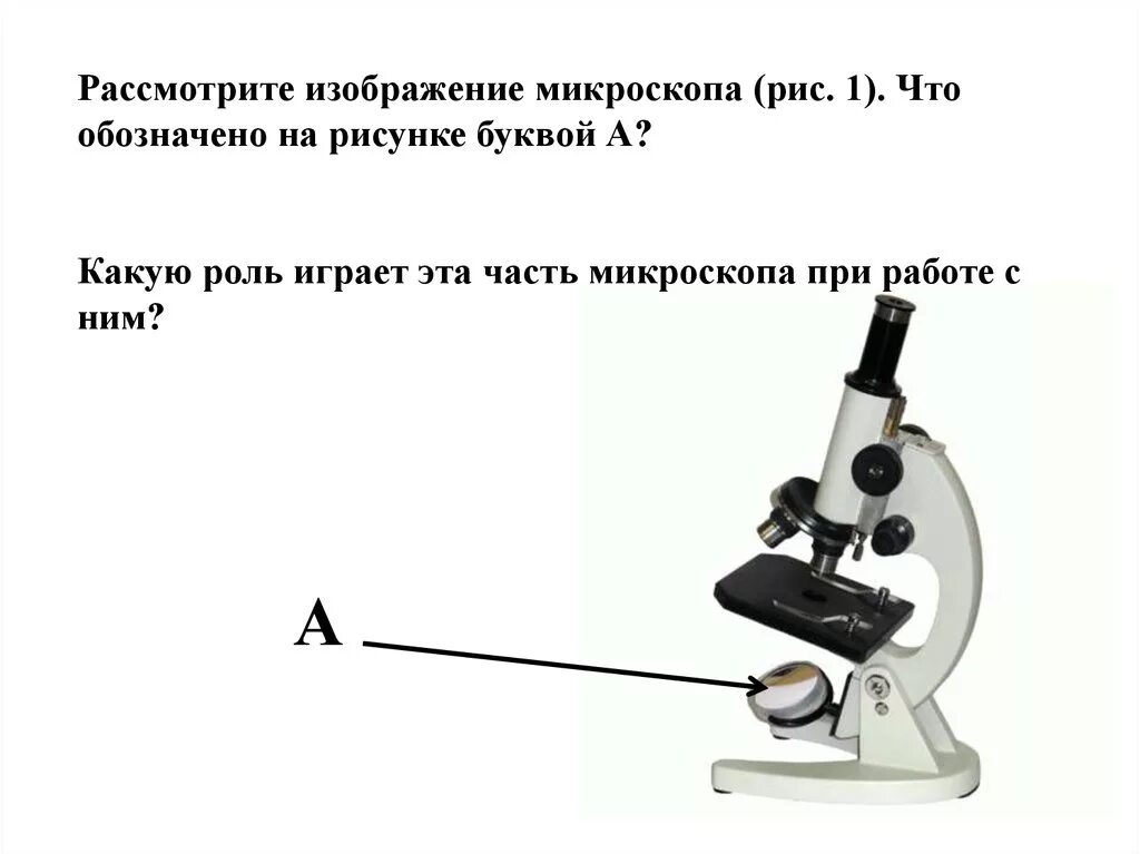 Какая часть микроскопа обозначена буквой а