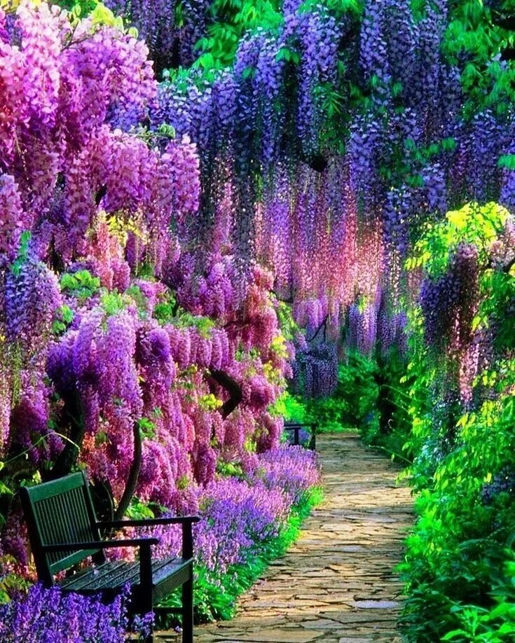 Природа сад. Разнообразие мира растений. Мир трав и деревьев. Кустарники в природе. Рододендрон в англии.