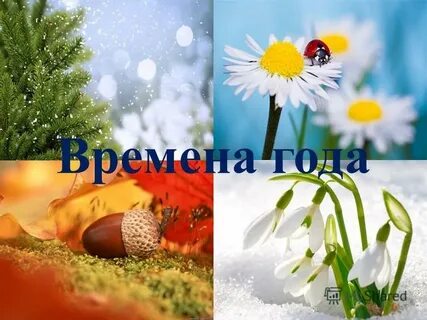 Лето в январе