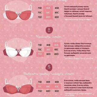 Размер бюстгальтеров по номерам Autopmspb.ru