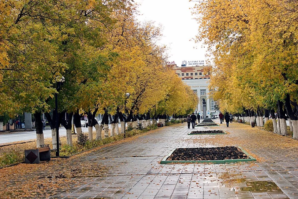 Карагандинская г оренбург. Темиртау город осень. Центральный парк Ферганы. Караганда парк. Караганда Центральная улица.