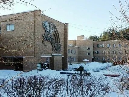 Дом молодой гвардии