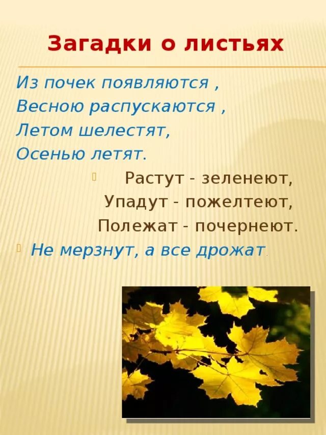 Загадки про листья. Загадки про листья для детей. Загадки про осенние листья. Загадки про осень. Текст листья школа