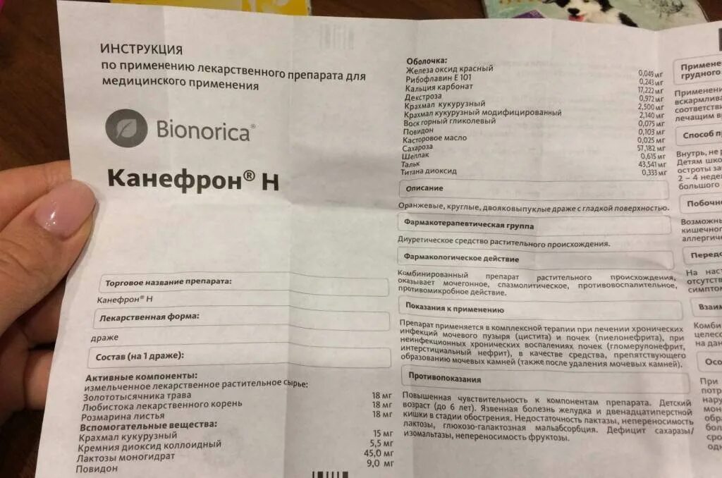 5 нок или канефрон. Состав лекарственного препарата канефрон. канефрон состав препарата капли. канефрон н таблетки дозировка. канефрон таблетки 100мг.