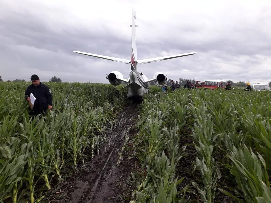 Дети сажают самолет. A320 кукурузное поле. Аэробус а321 в кукурузном поле. А320 сел в кукурузное поле. Посадка самолёта на кукурузном поле 2019.