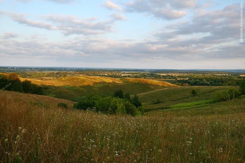 Как выглядит область. Меловые горы курская область рыльский. меловые горы рыльский район. рыльск рыльск. дмитриевско-рыльская гряда в курской.