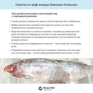 Чир описание рыбы