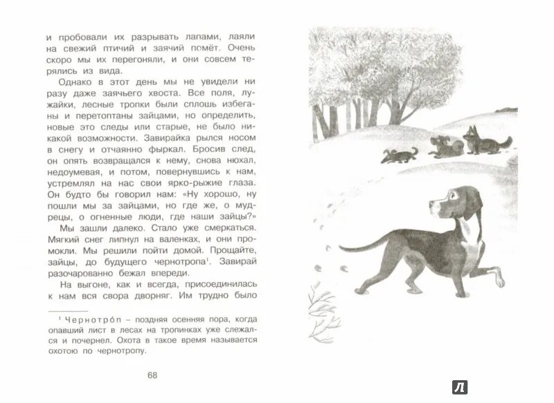 Куприн пудель распечатать. Куприн Завирайка иллюстрации. Рассказ Завирайка Куприн. Белый пудель Куприн иллюстрации.