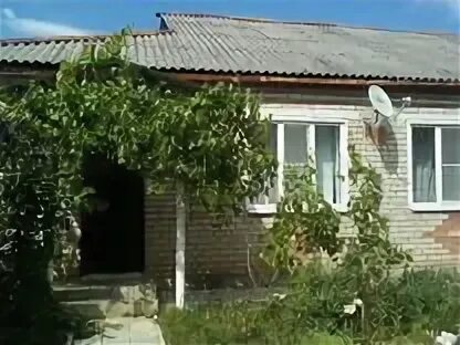 Авито псебай