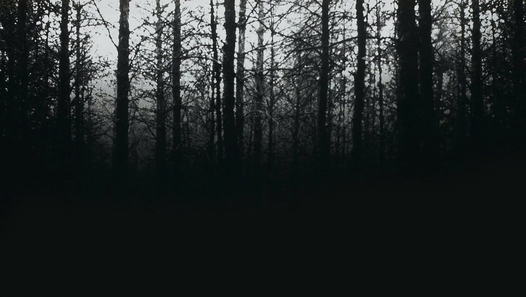 Самый черный лес. Вичхаус aesthetic. Мрачный лес. Темный лес. Мрачный фон.