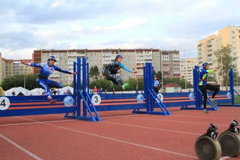 Мчс спорт
