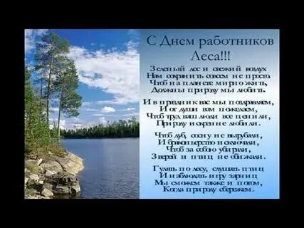 День лесника усть илимск