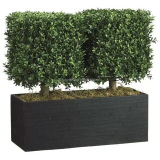 Искусственные кустарники